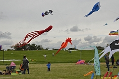 Venice kite festival_0478